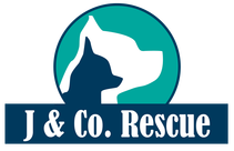 J &amp; Co Dog Rescue